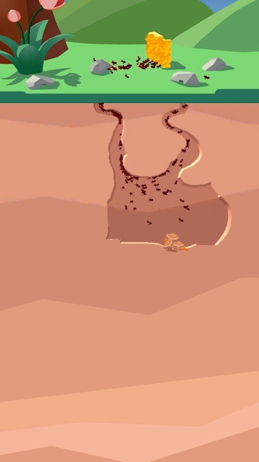 沙蚁养殖场图3